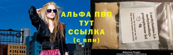 прущие грибы Никольское