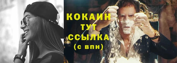 гидра Лиски