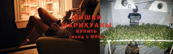 ПСИЛОЦИБИНОВЫЕ ГРИБЫ Липки