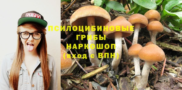 гидра Лиски