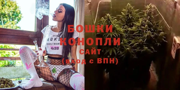 ПСИЛОЦИБИНОВЫЕ ГРИБЫ Липки