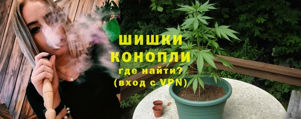 ПСИЛОЦИБИНОВЫЕ ГРИБЫ Липки